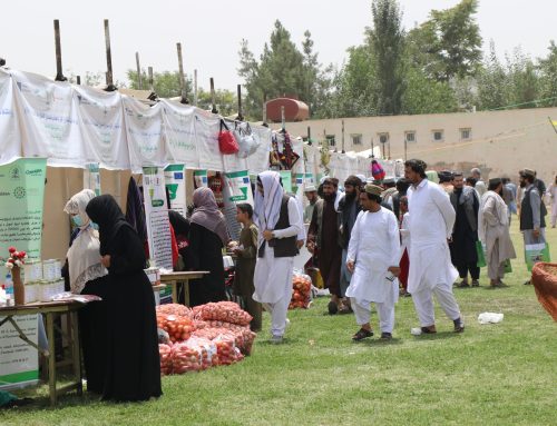 NSDO Hosts Second Agricultural Trade Show in Kunduz Under EU-Funded AWARE Project