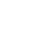 Social Cohesion Icon