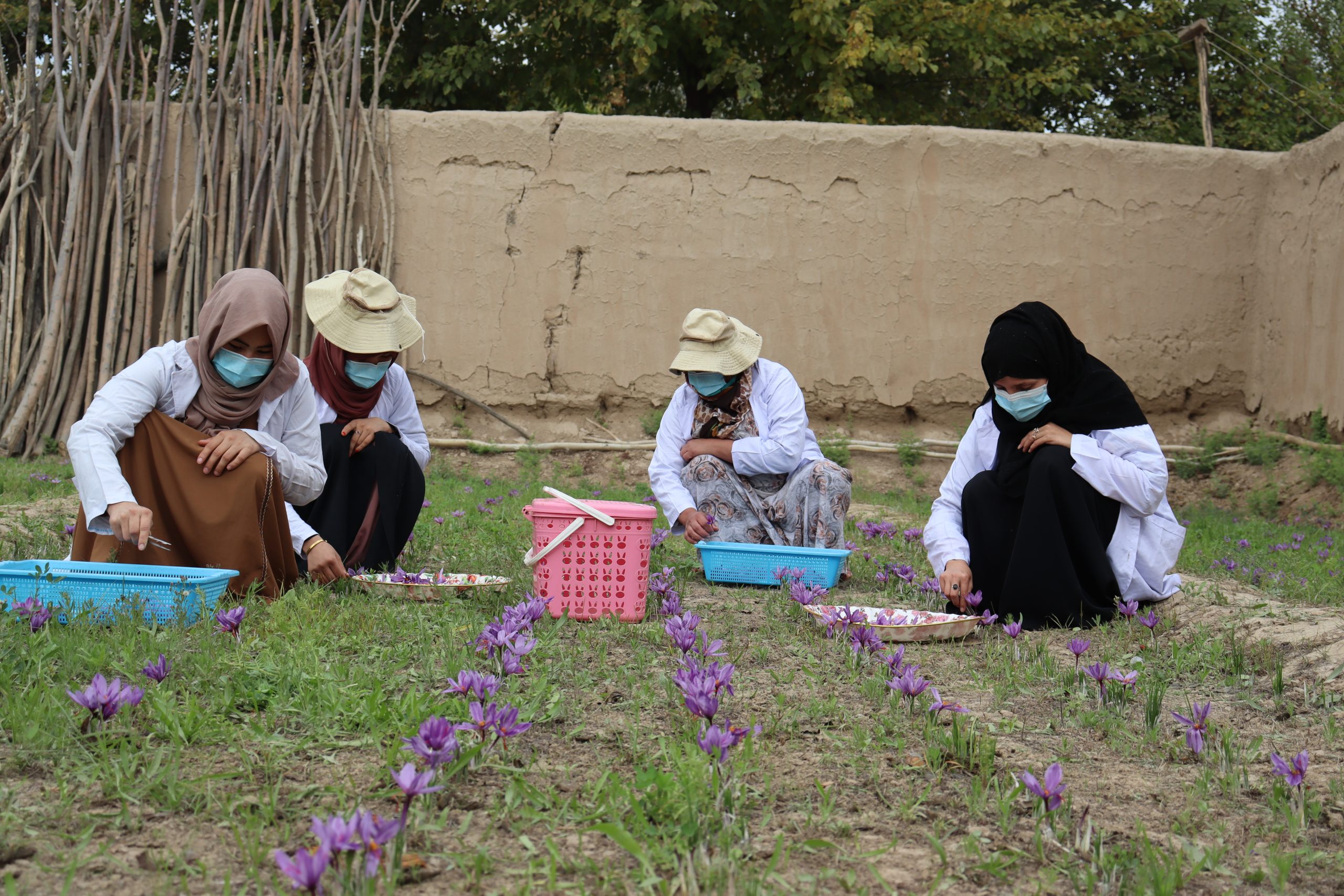 Road Construction Development Program in Afghanistan