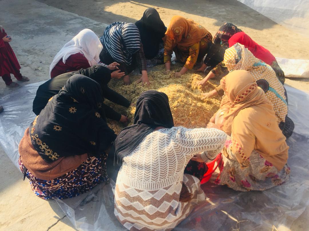 Economic development and business support