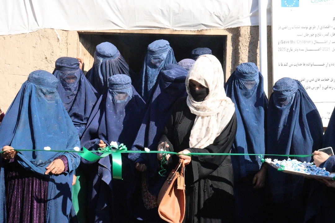 NSDO Development Programs - Building sustainable communities