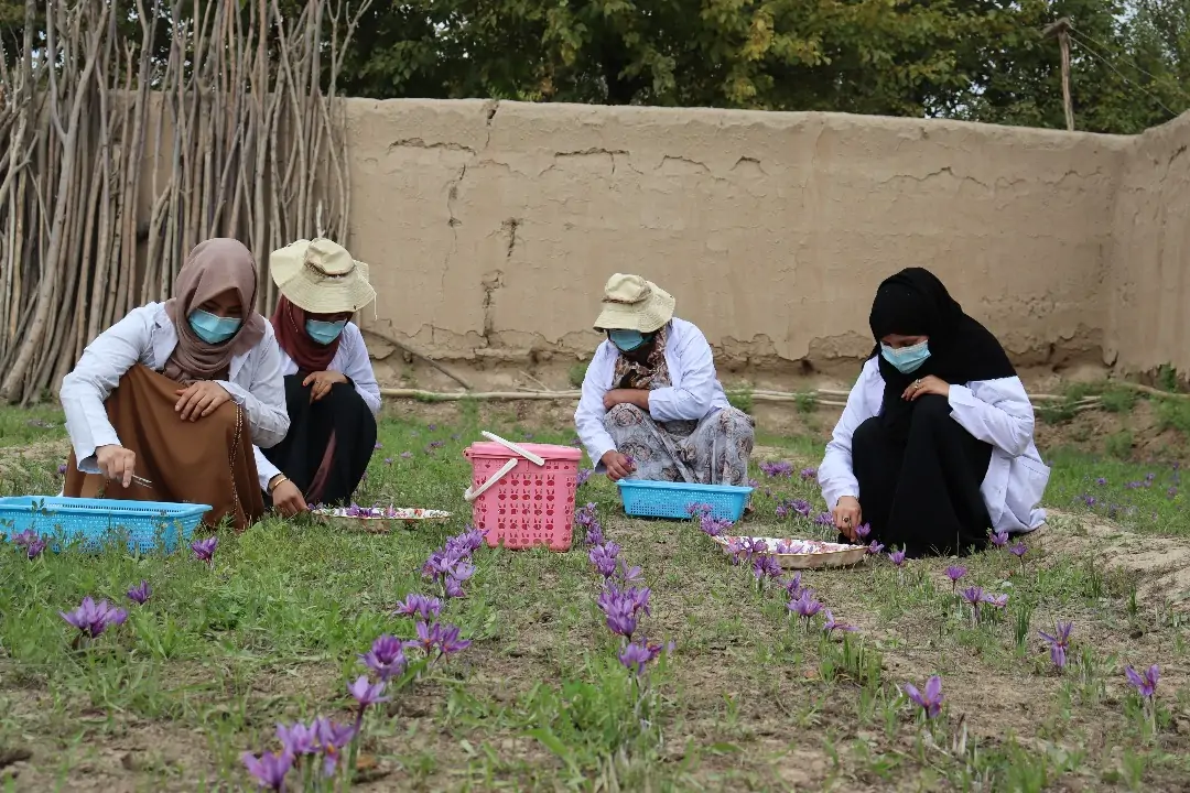 Development Programs in Afghanistan